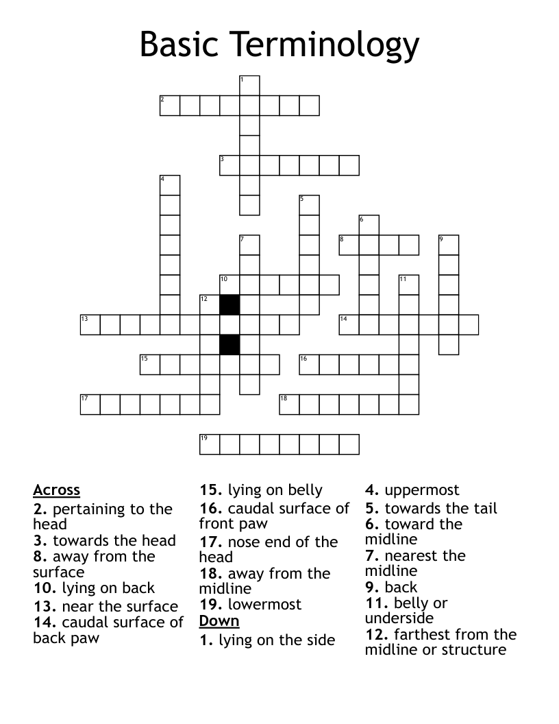 Basic Terminology Crossword