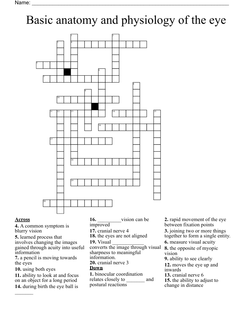 Basic anatomy and physiology of the eye Crossword