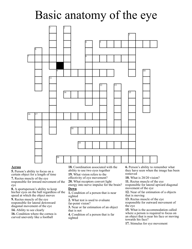 Basic anatomy of the eye Crossword