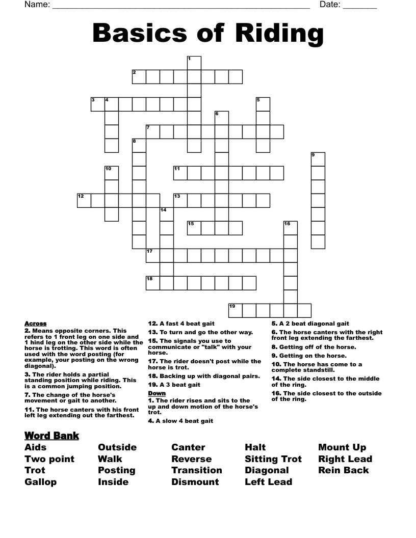 Basics of Riding Crossword