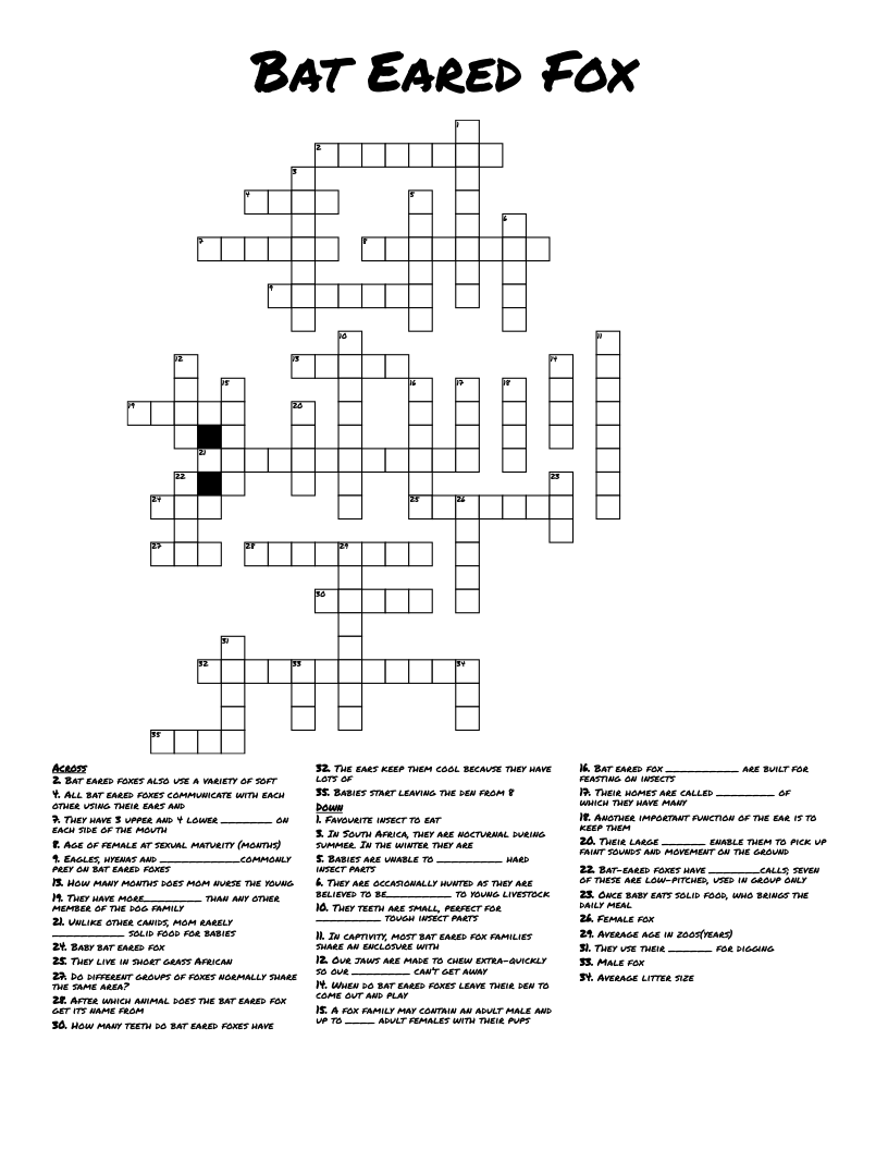 Bat Eared Fox Crossword