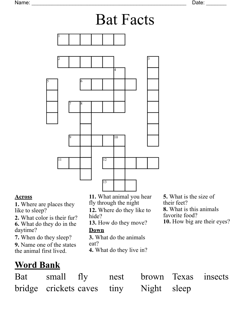Bat Facts Crossword