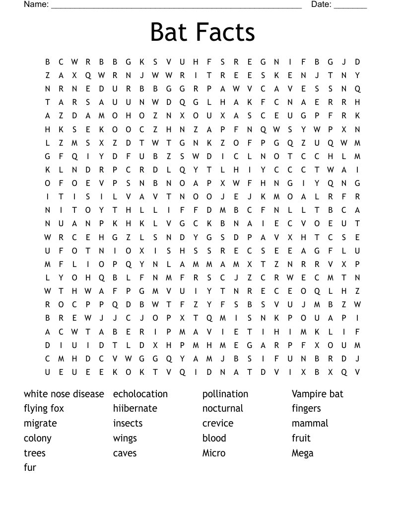 Bat Facts Word Search