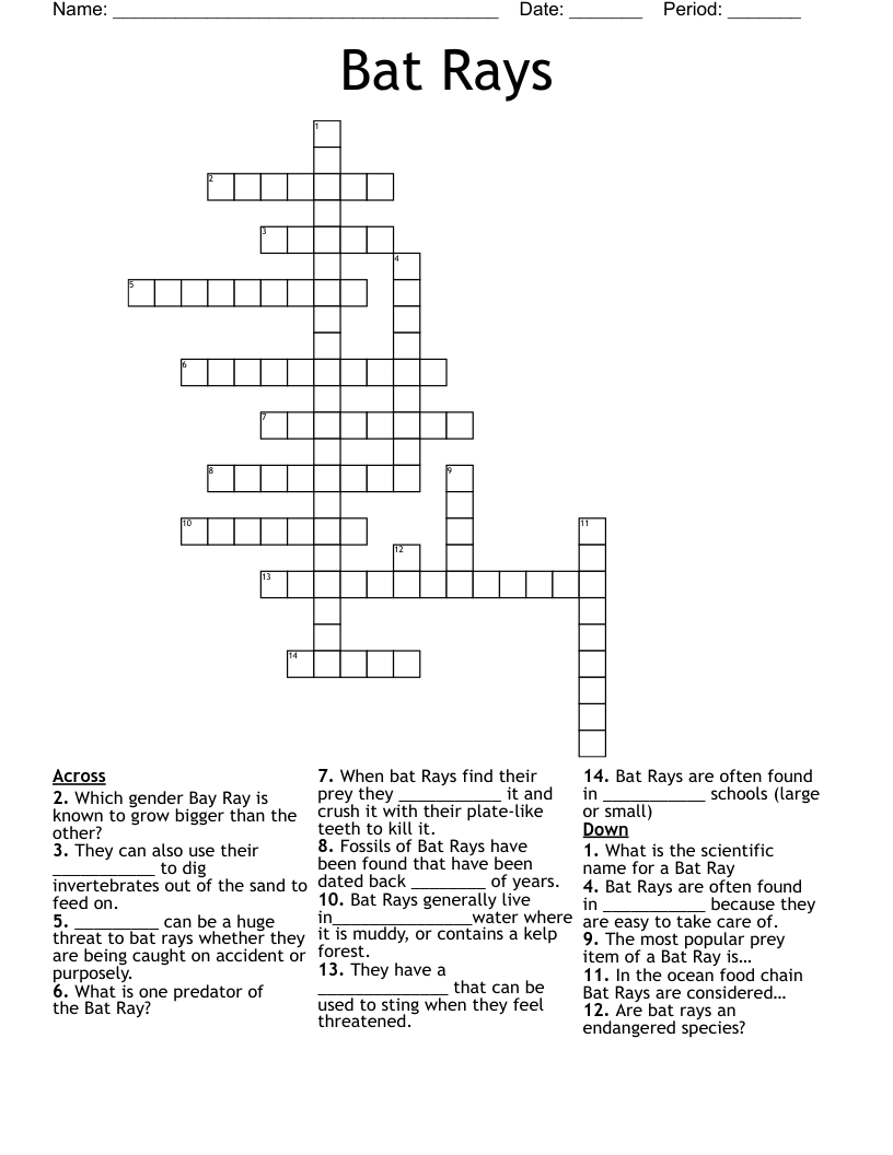 Bat Rays Crossword