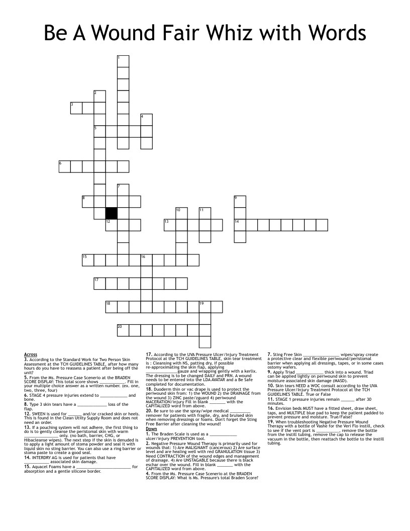 Be A Wound Fair Whiz with Words Crossword