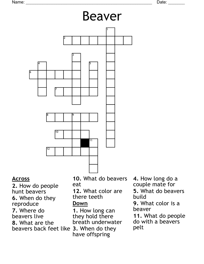 Beaver Crossword