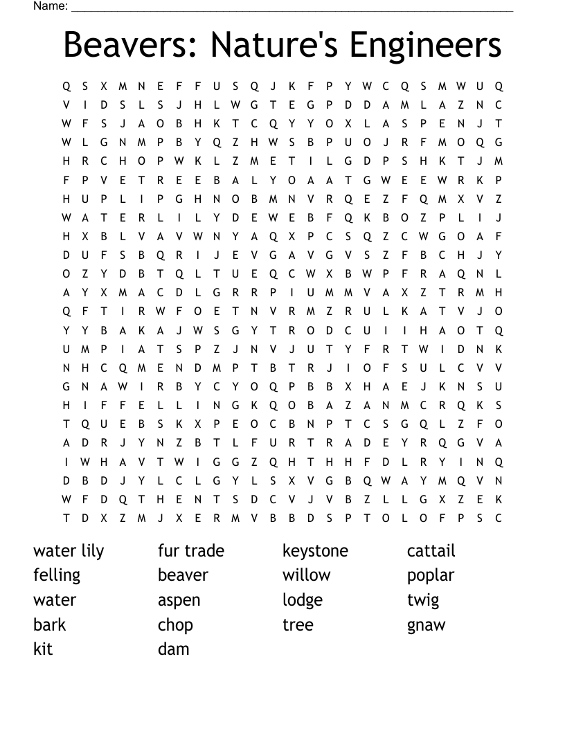 Beavers: Nature's Engineers Word Search