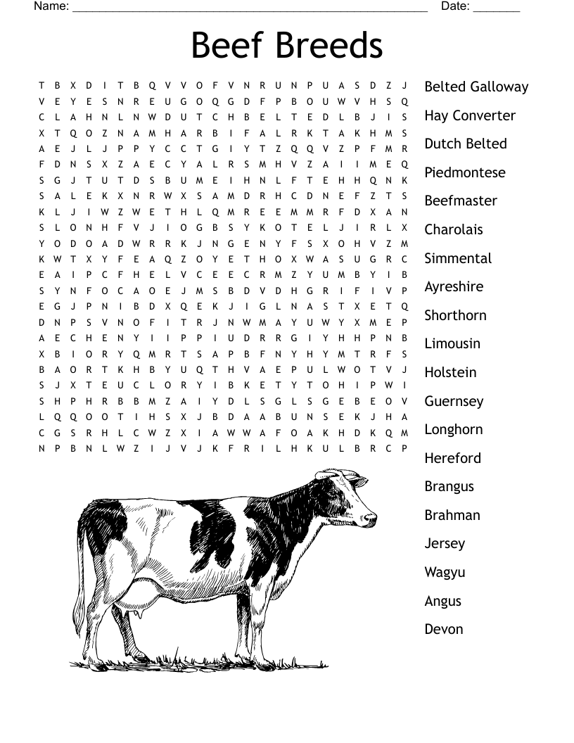 Beef Breeds Word Search