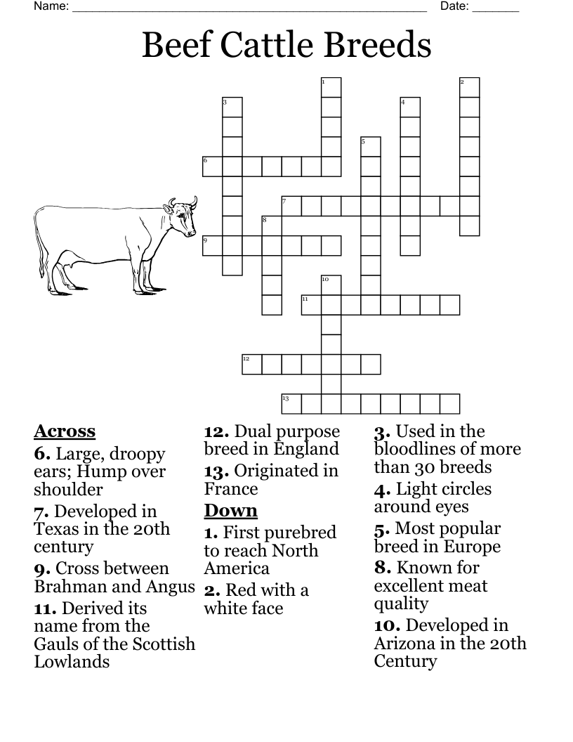 Beef Cattle Breeds Crossword