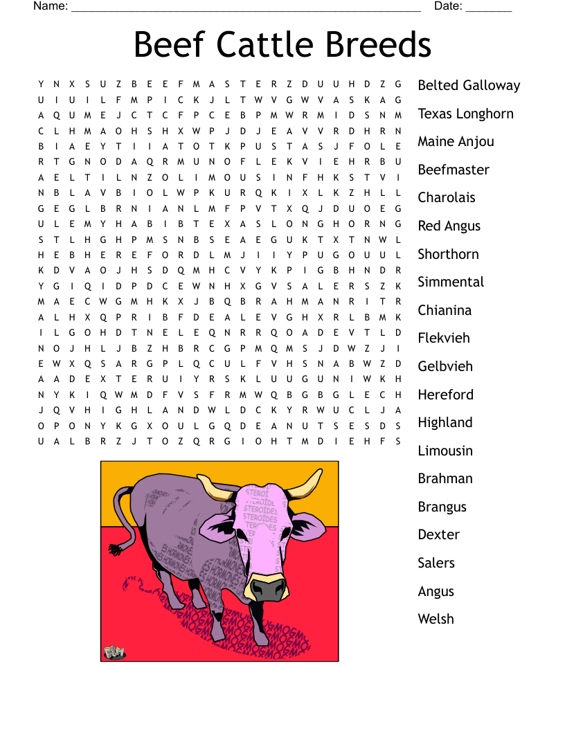 Beef Cattle Breeds Word Search