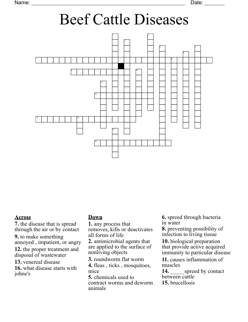 Beef Cattle Diseases Crossword