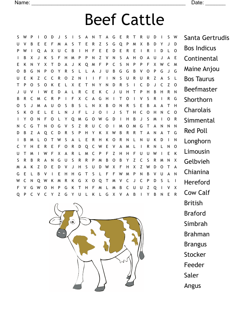 Beef Cattle  Word Search