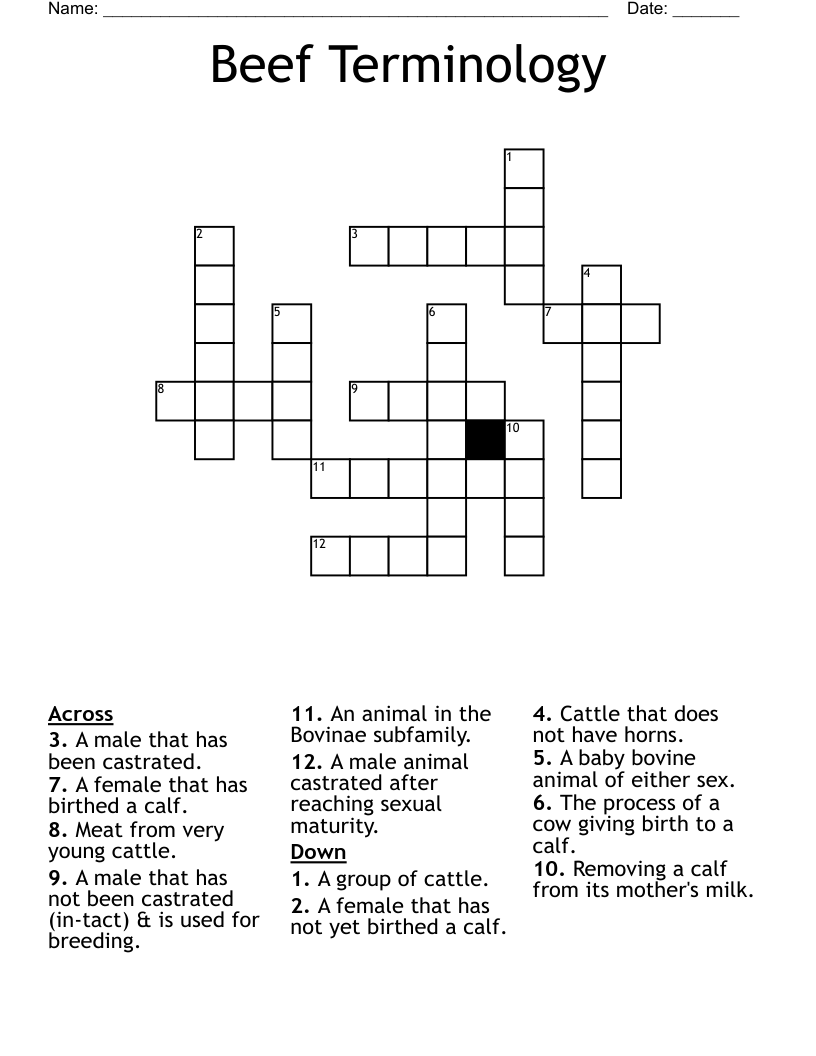 Beef Terminology  Crossword