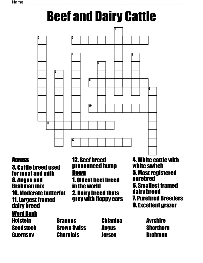 Beef and Dairy Cattle Crossword