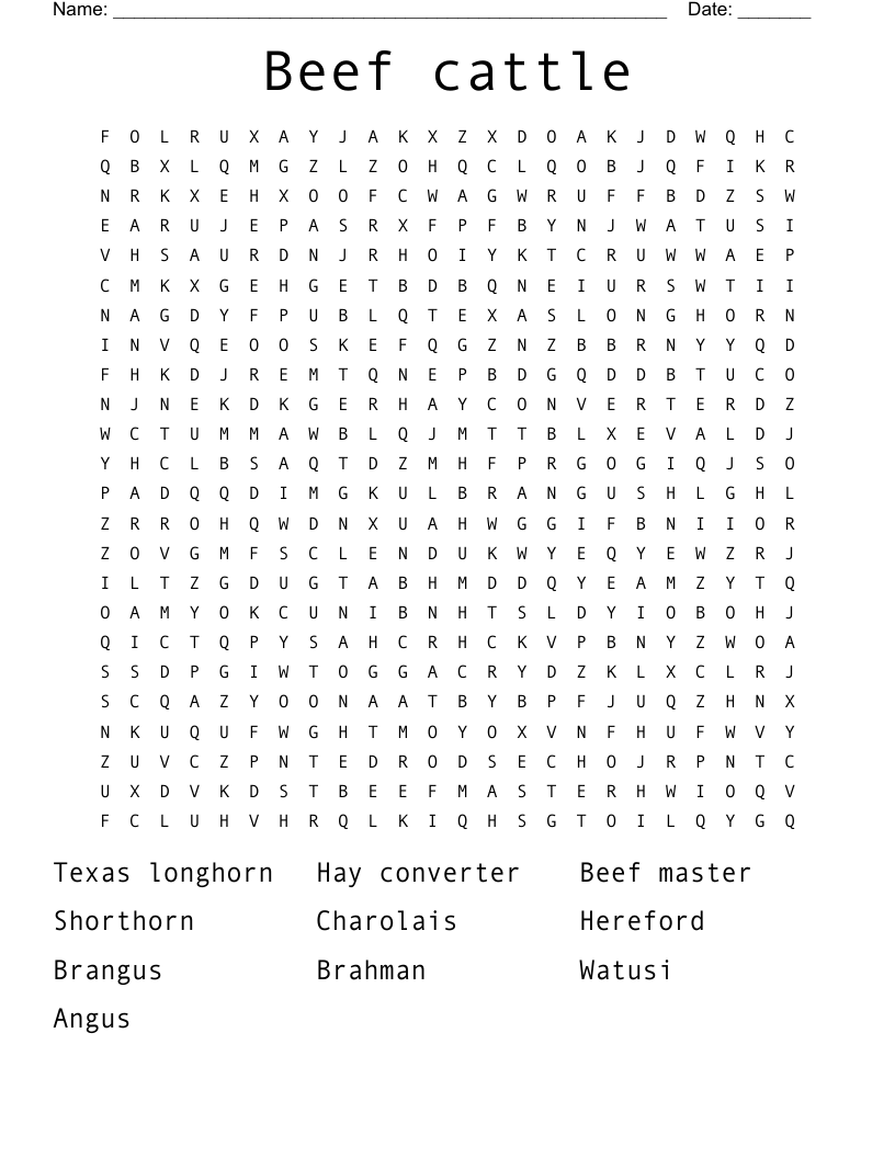 Beef cattle  Word Search