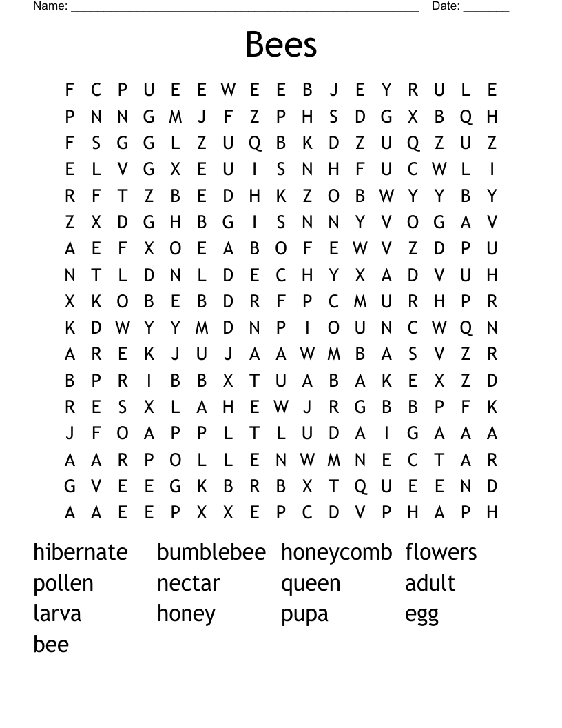 Bees Word Search