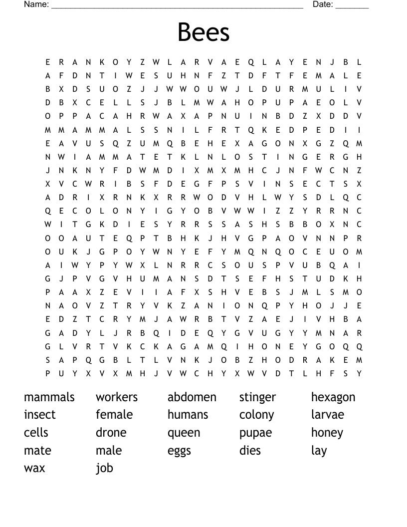 Bees Word Search