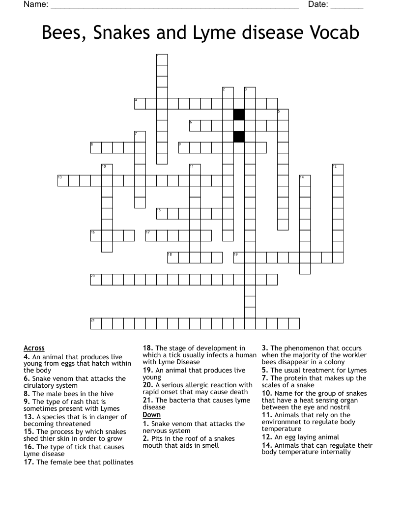 Bees, Snakes and Lyme disease Vocab Crossword
