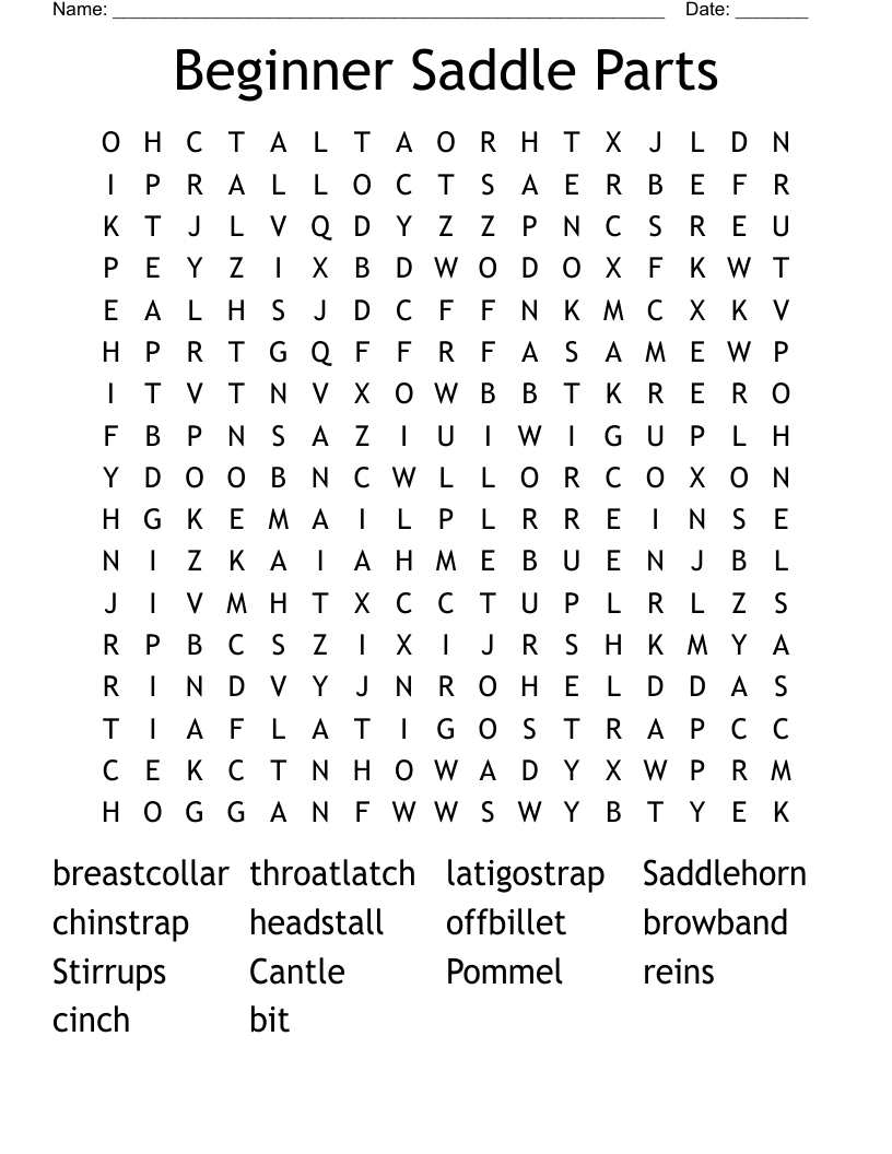 Beginner Saddle Parts Word Search