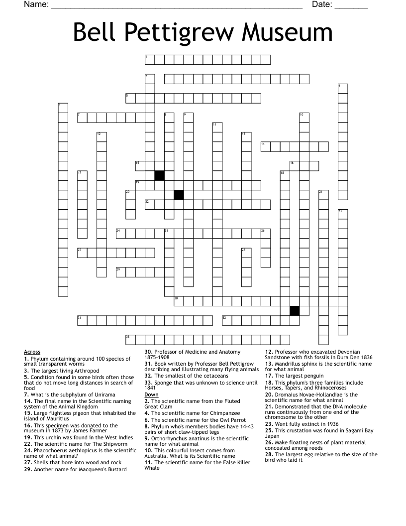 Bell Pettigrew Museum Crossword
