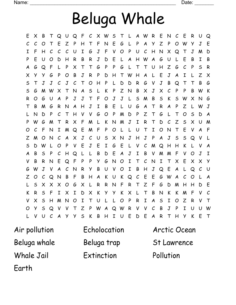 Beluga Whale Word Search