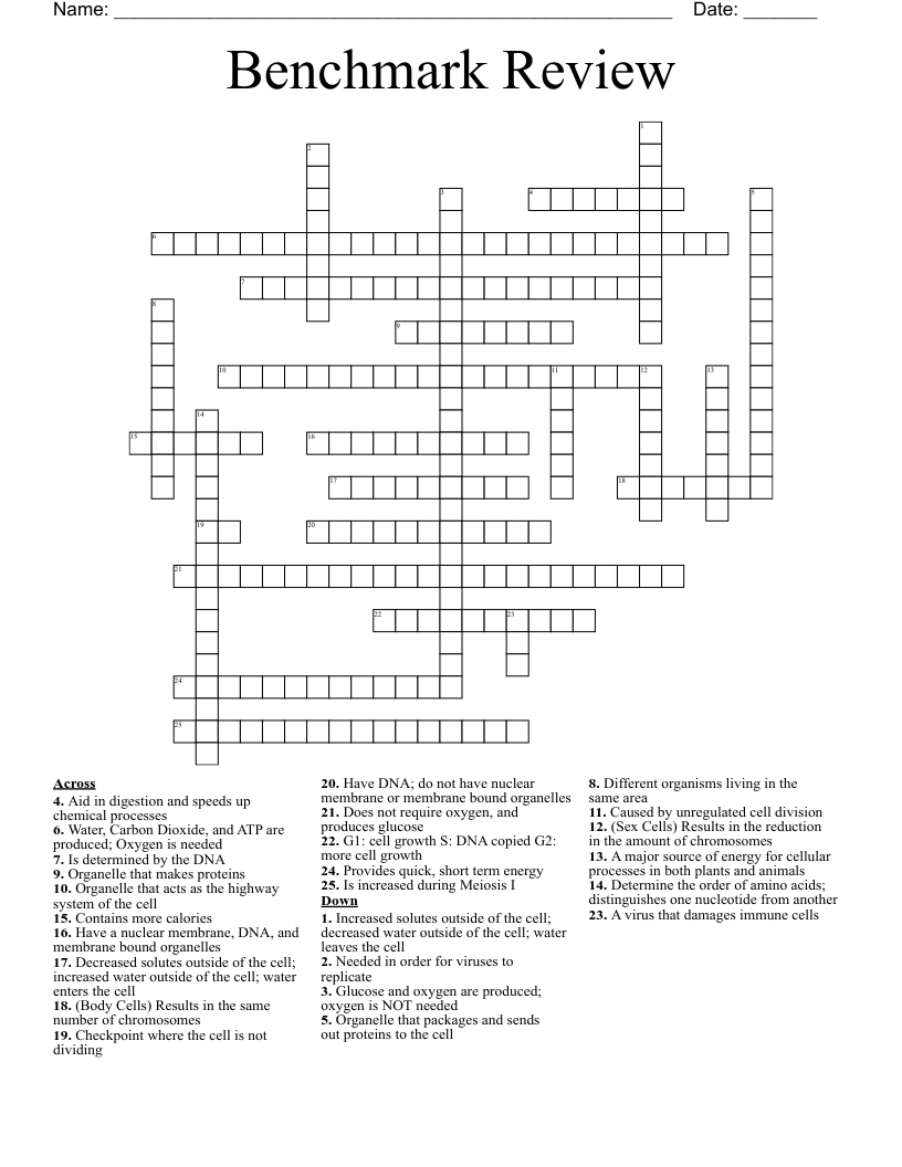 Benchmark Review Crossword