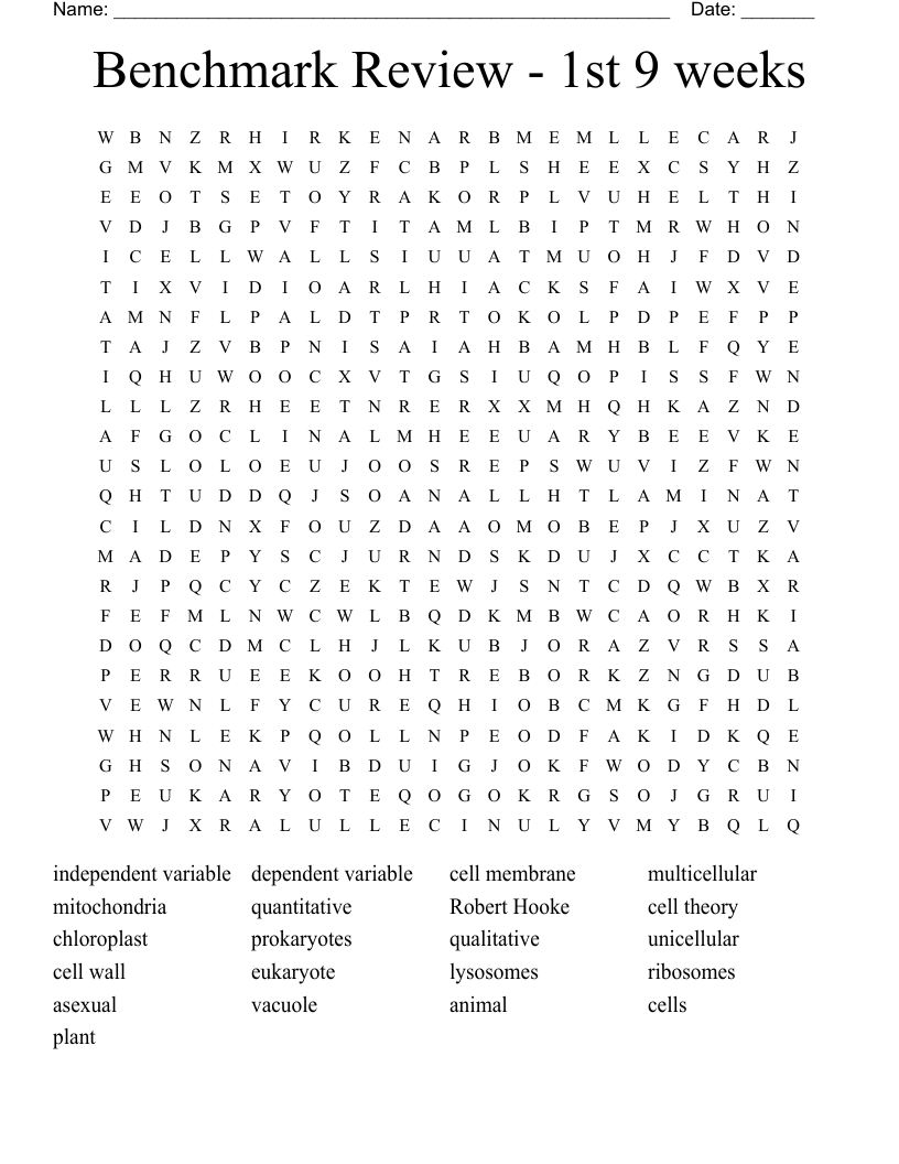 Benchmark Review - 1st 9 weeks Word Search