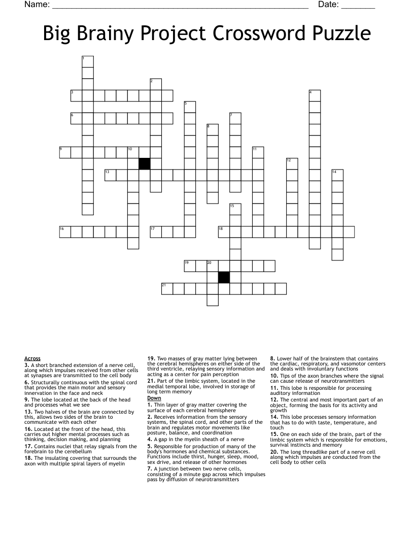 Big Brainy Project Crossword Puzzle