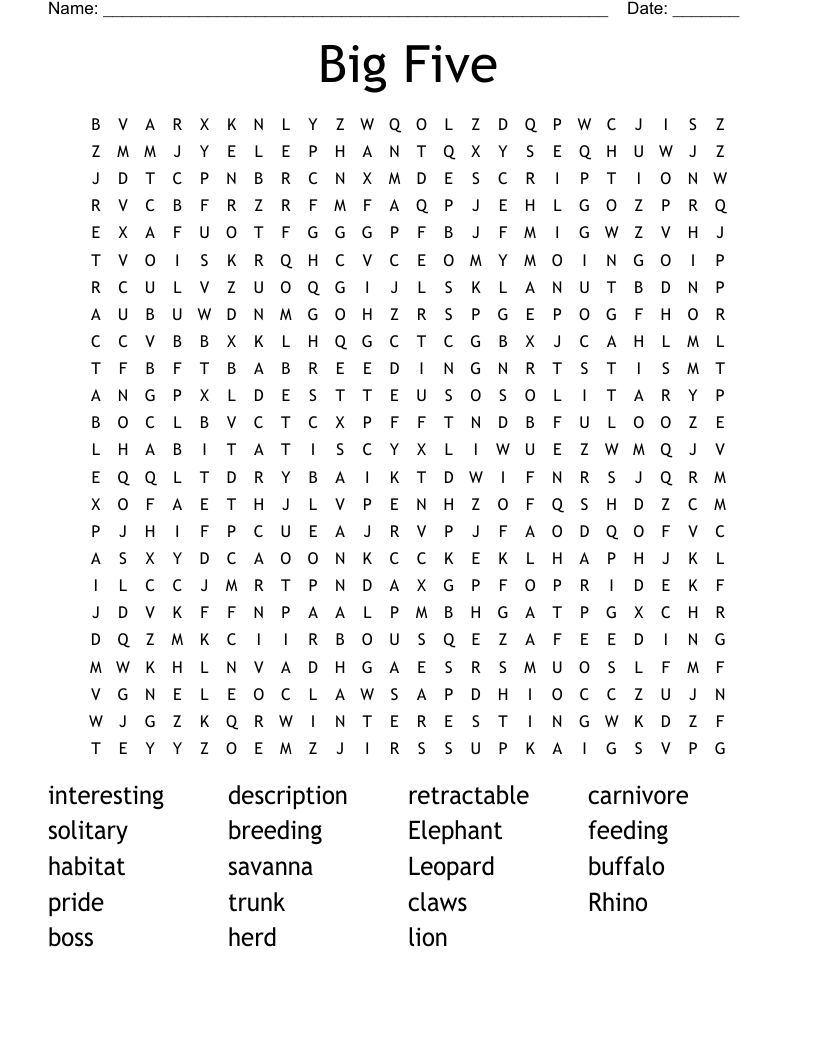 Big Five Word Search