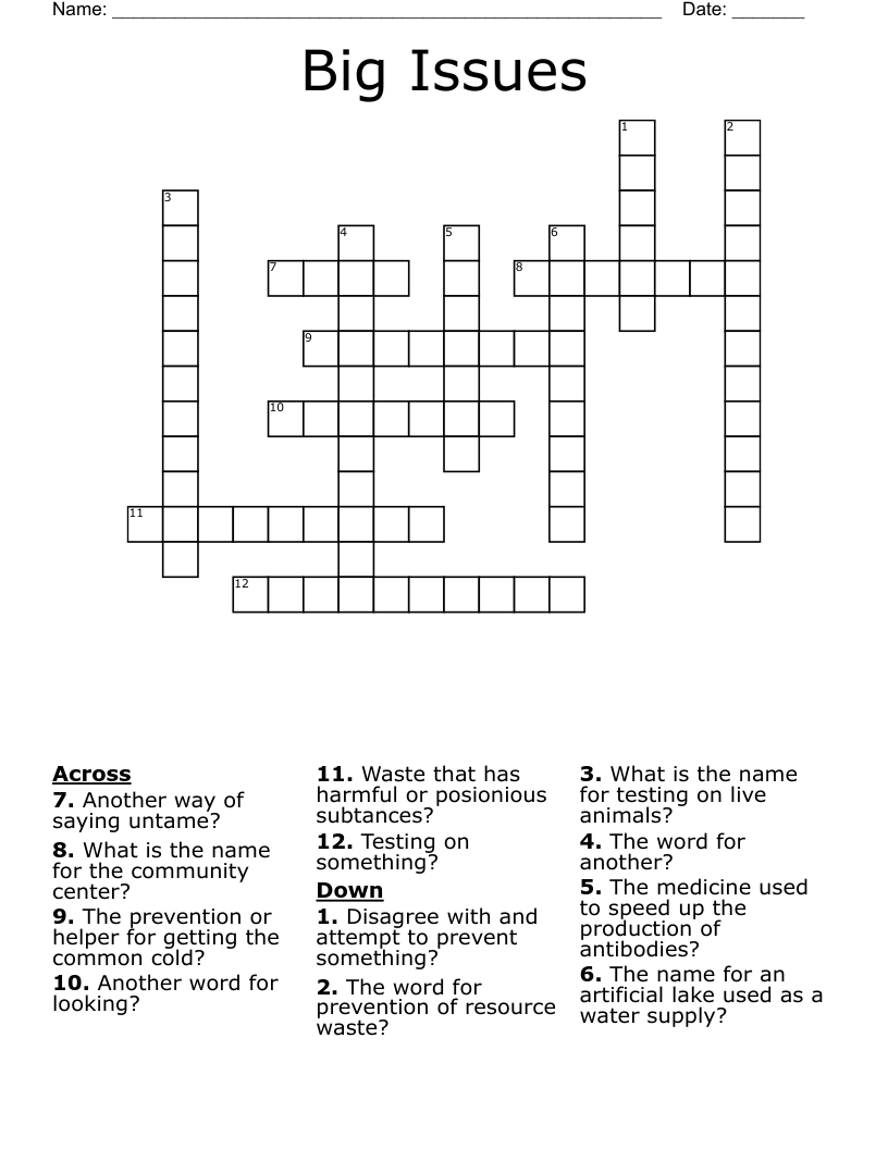Big Issues Crossword