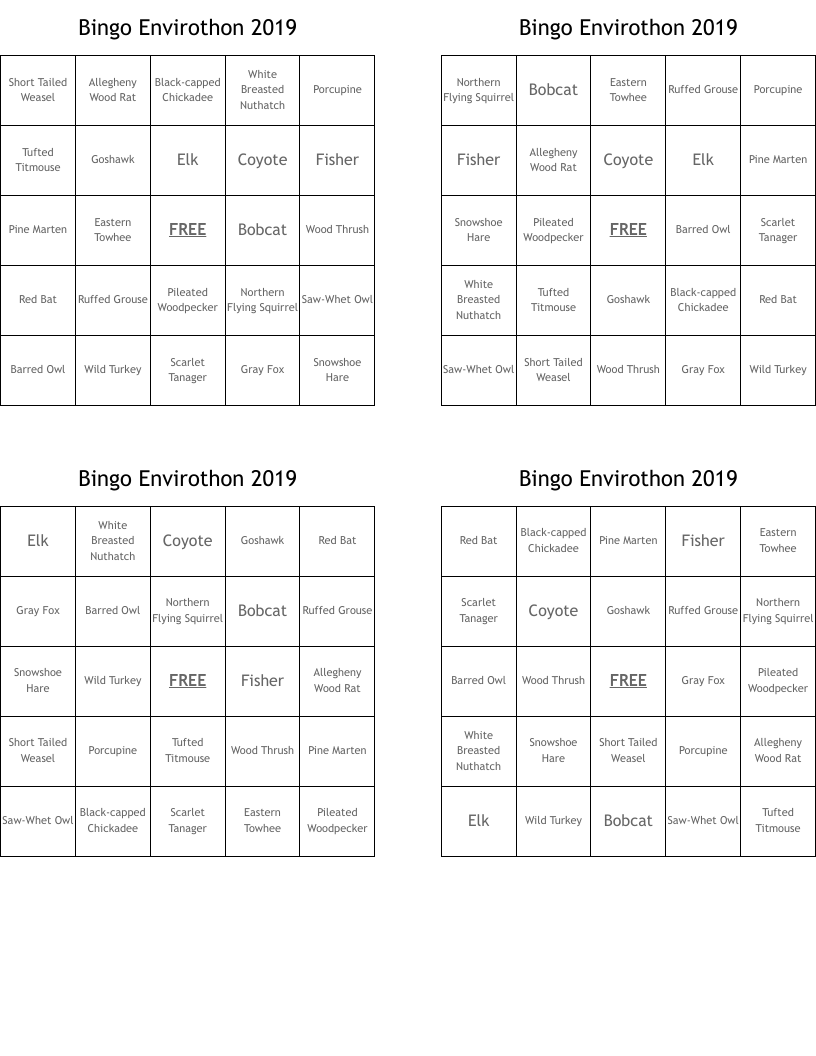 Bingo Envirothon 2019