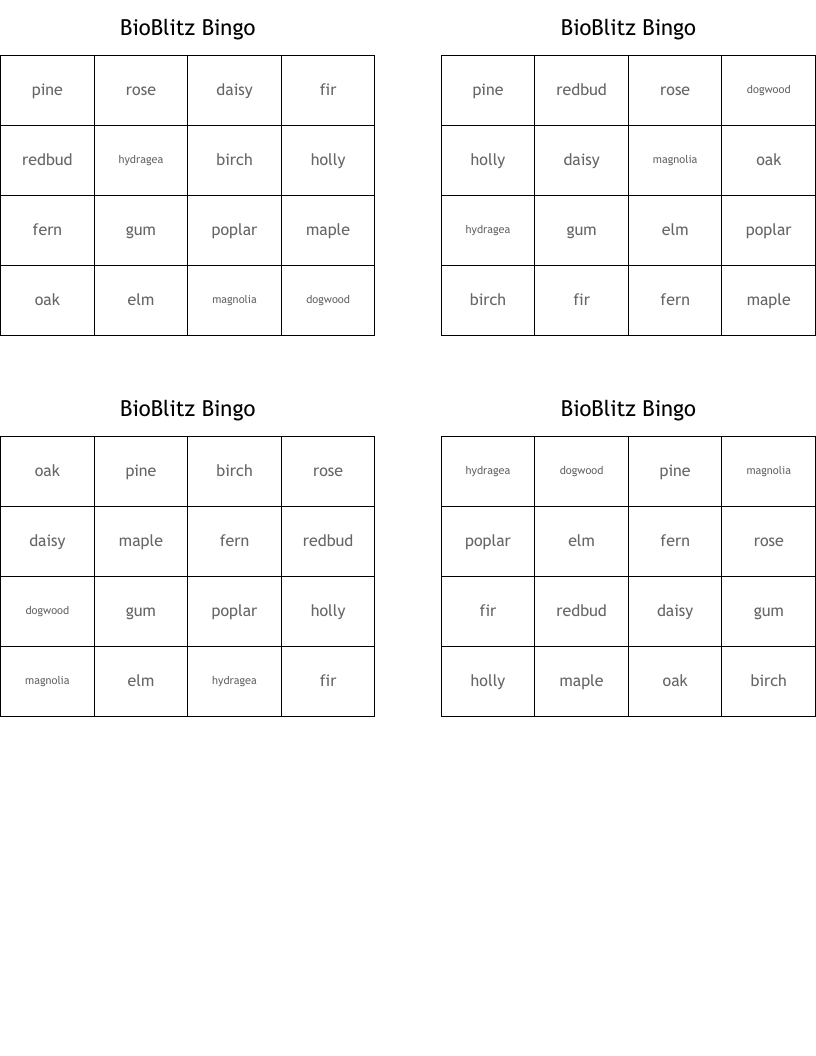 BioBlitz Bingo