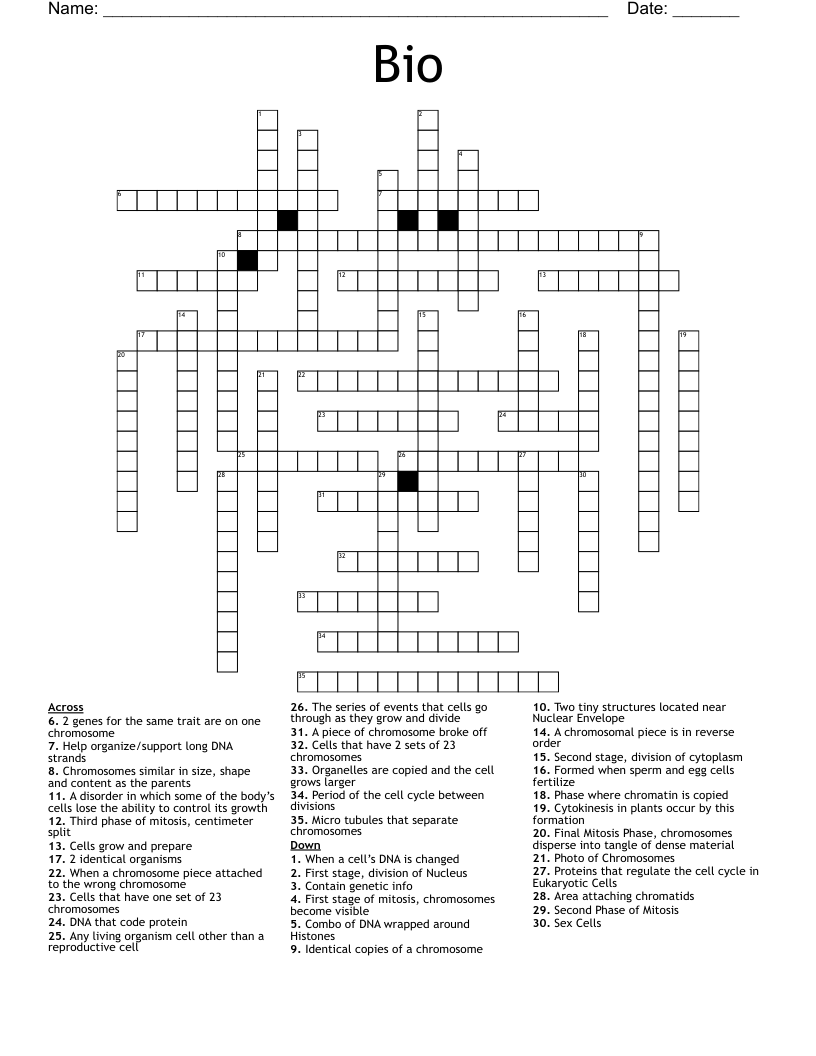 Bio Crossword