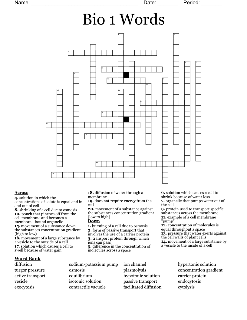 Bio 1 Words Crossword