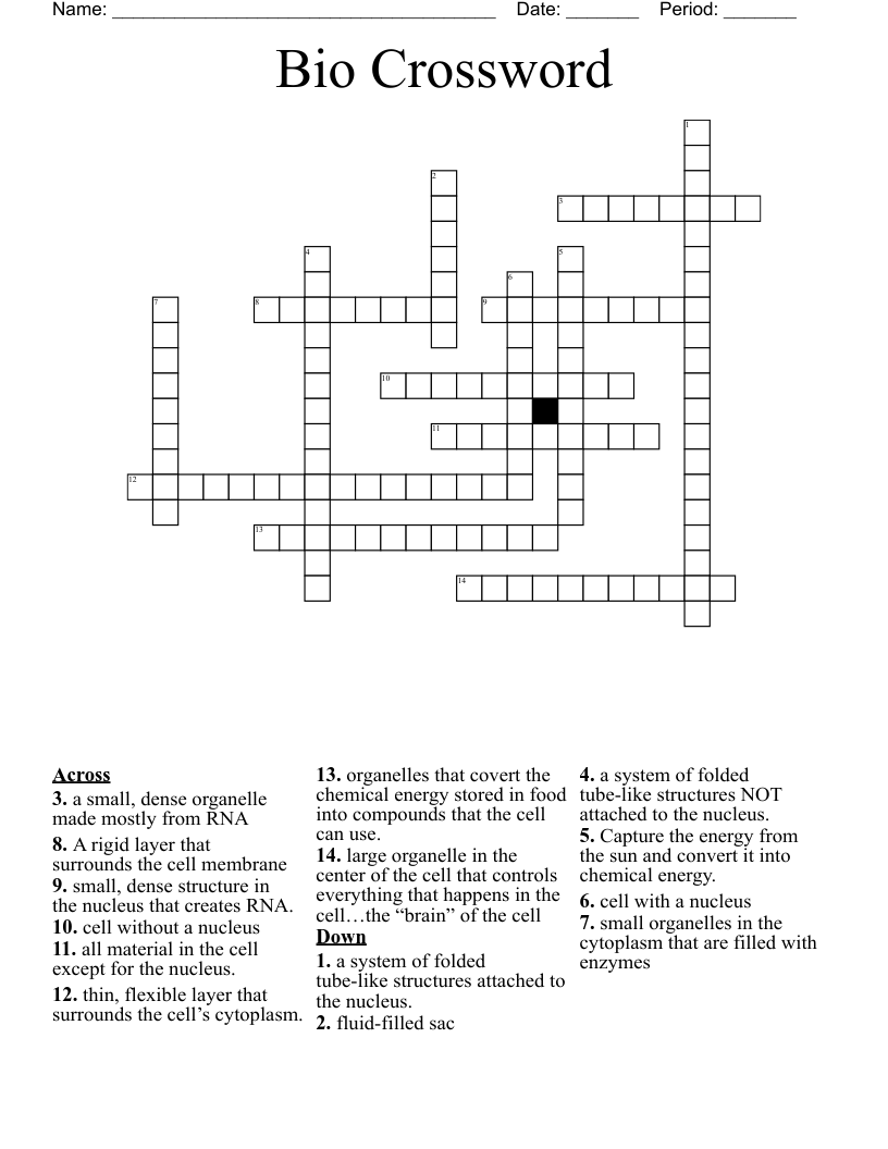 Bio Crossword