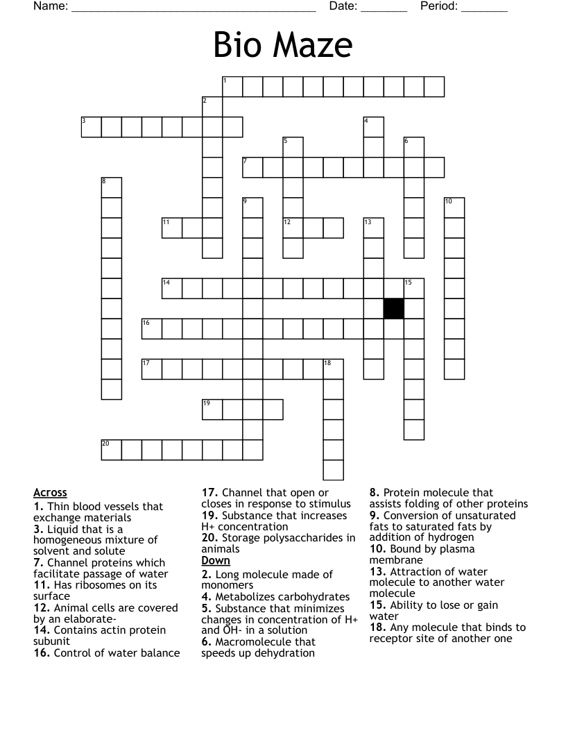 Bio Maze  Crossword