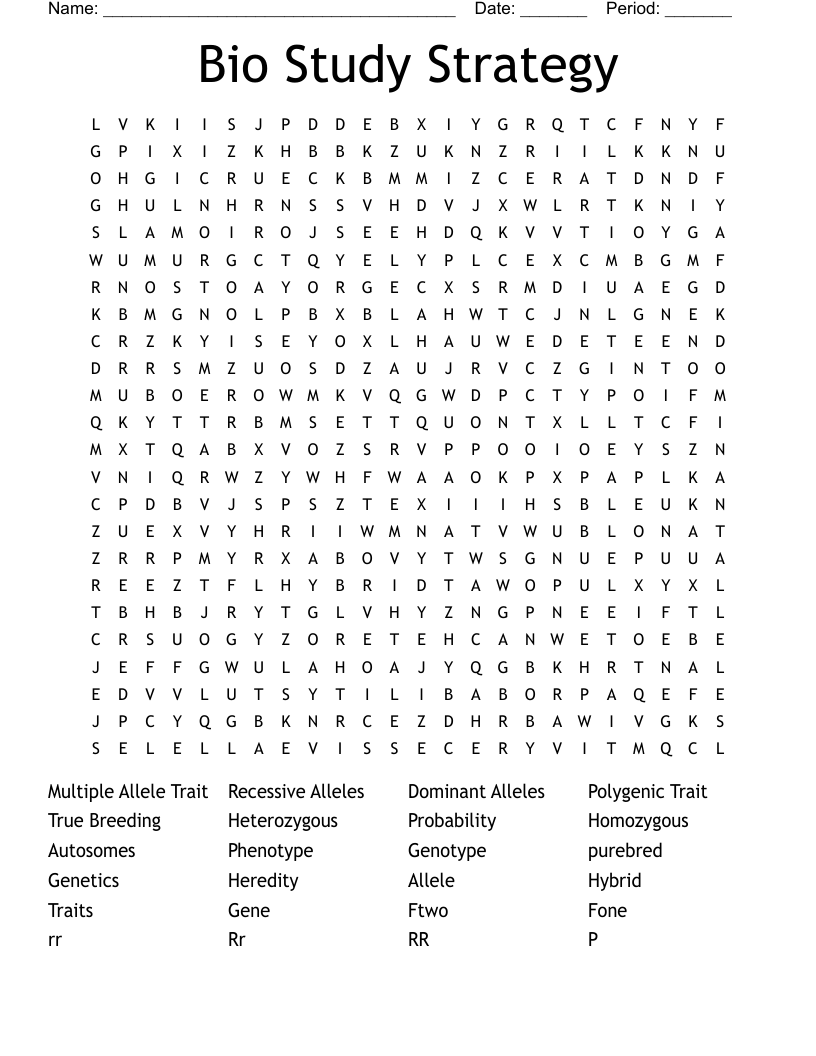 Bio Study Strategy Word Search