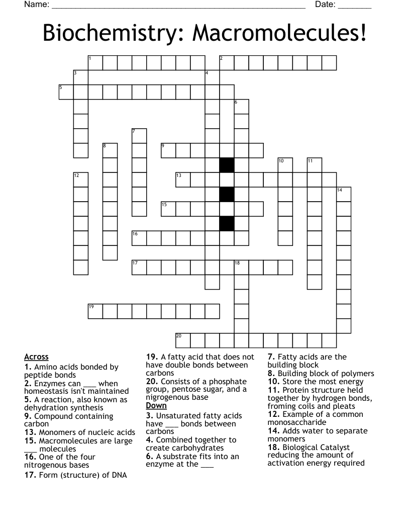 Biochemistry: Macromolecules! Crossword