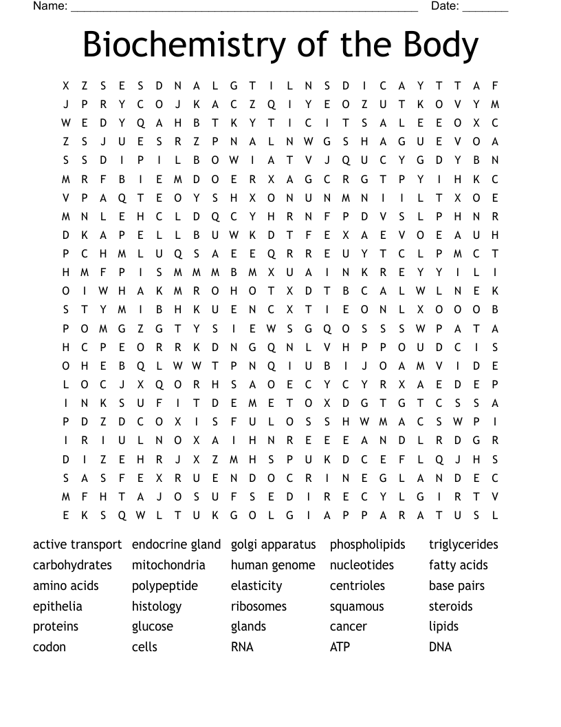 Biochemistry of the Body Word Search