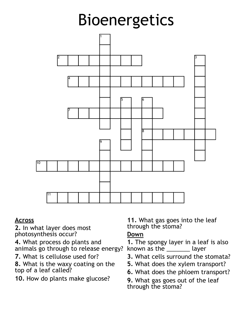 Bioenergetics Crossword