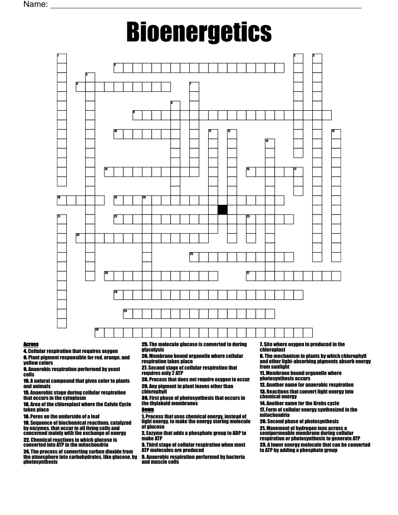 Bioenergetics Crossword