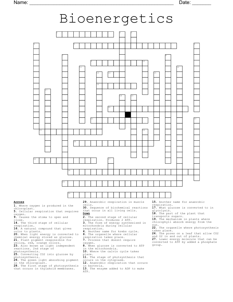 Bioenergetics Crossword