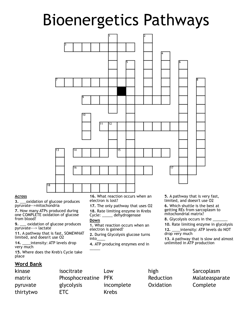 Bioenergetics Pathways Crossword