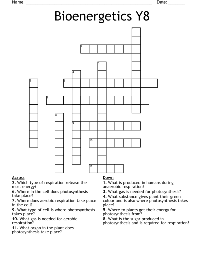 Bioenergetics Y8 Crossword