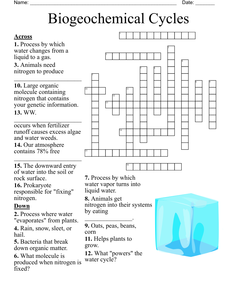 Biogeochemical Cycles Crossword