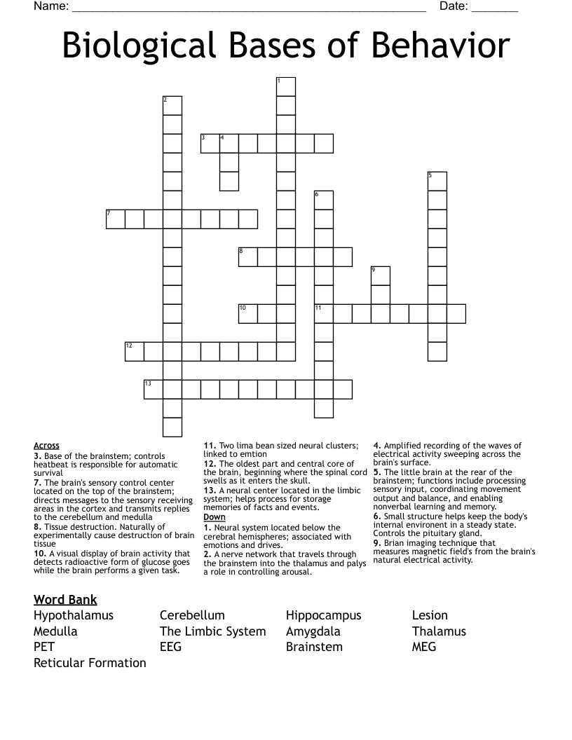 Biological Bases of Behavior Crossword