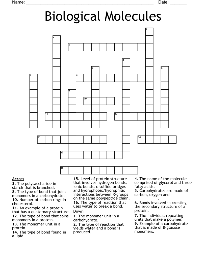 Biological Molecules Crossword