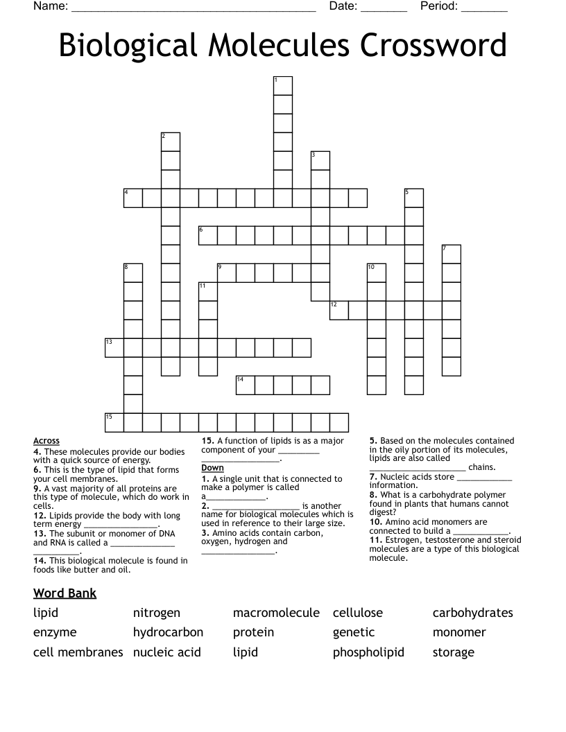 Biological Molecules Crossword