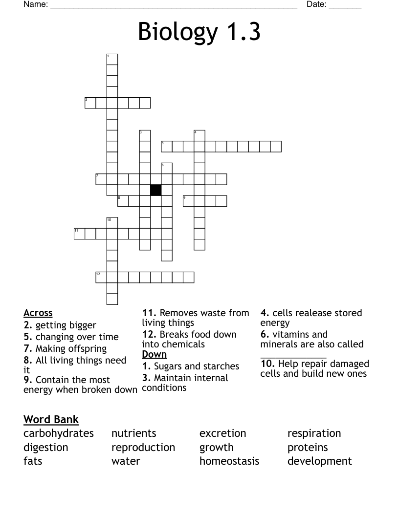 Biology 1.3  Crossword
