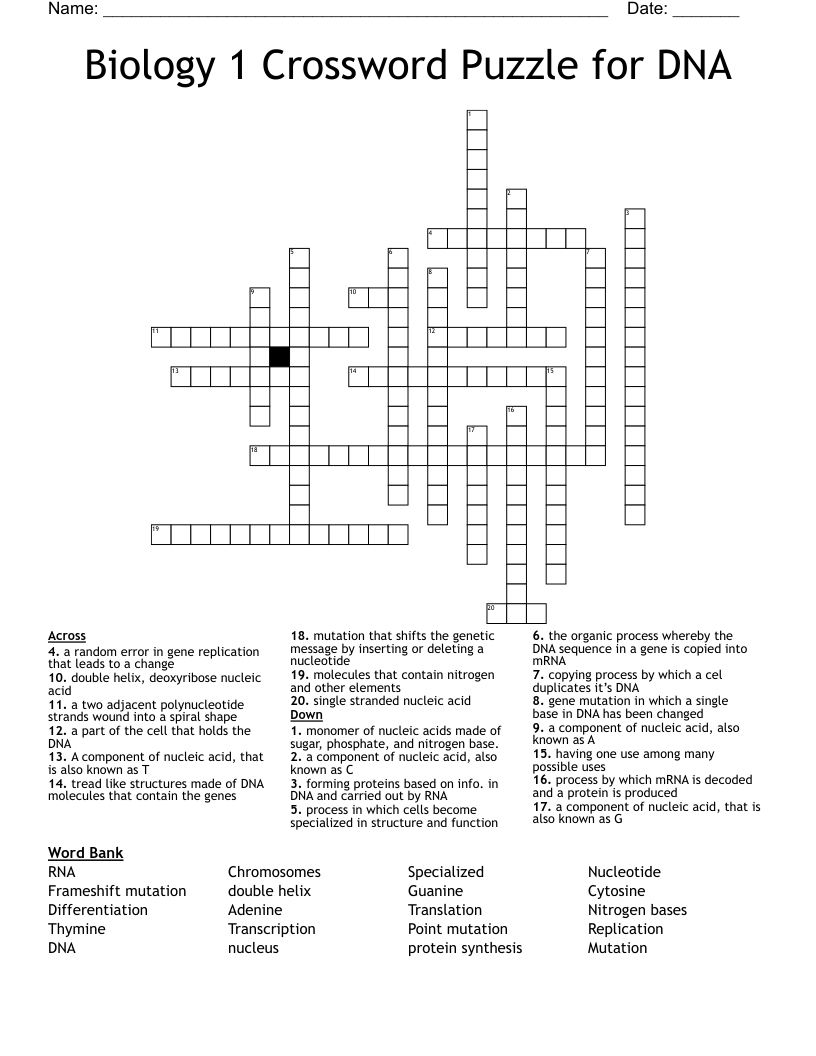 Biology 1 Crossword Puzzle for DNA